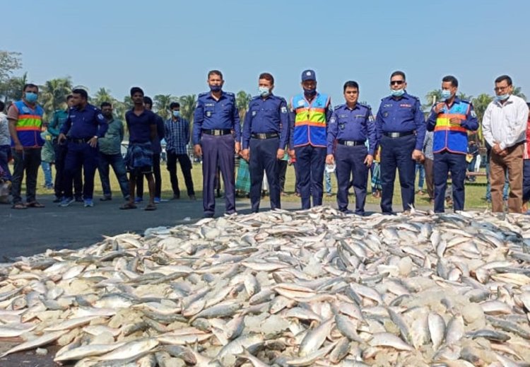 বরিশাল সদর নৌ থানা উদ্ধার করলো ৫ হাজার ২০০ কেজি জাটকা।