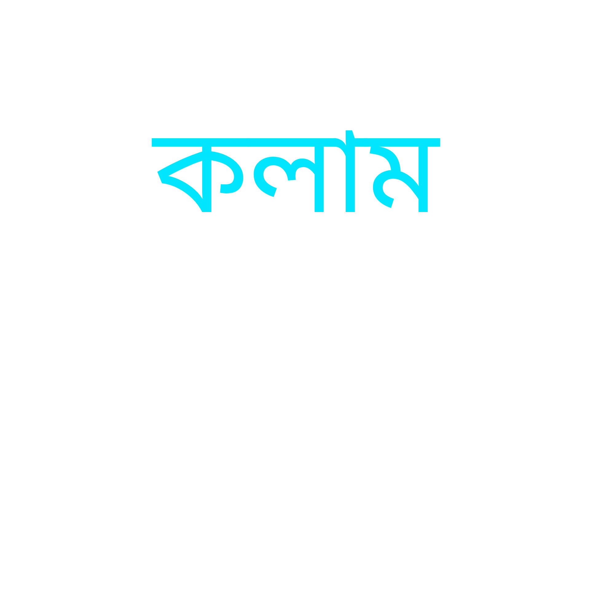 ফেলানী খাতুন থেকে স্বর্ণা দাস : সীমান্ত হত্যার শেষ কোথায়