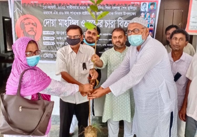 ধামইরহাট ইউনিয়নে জাতীয় শোক দিবস উপলক্ষে কাঙ্গালি ভোজ ও গাছের চারা বিতরণ