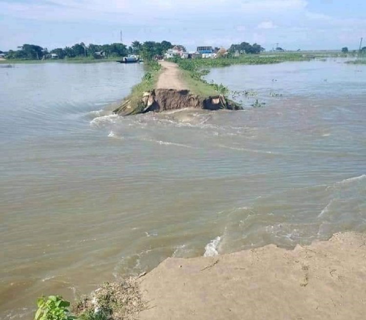 জামালগঞ্জে হাওরের বাঁধ কেটে দিলো দুষ্কৃতিকারিরা : কৃষকদের মাথায় হাত