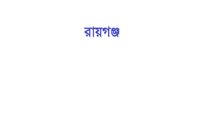 রায়গঞ্জের ৯ ইউনিয়নেই নৌকার বিজয়