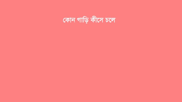 কোন গাড়ি কীসে চলে : জরিপ চালাতে বললো সংসদীয় কমিটি