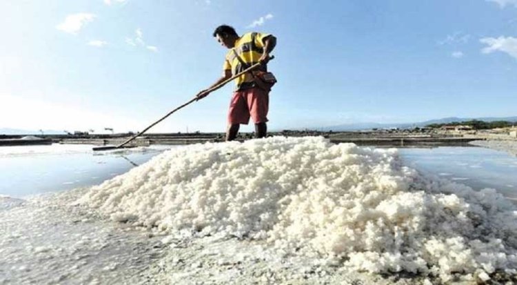 লবণ আমদানির সিদ্ধান্তে হতাশ চাষিরা।