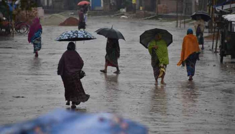 শীতের ভোরে বৃষ্টিপাত : উৎপাত না আশির্বাদ? উত্তরের জনজীবন দুর্ভোগে।