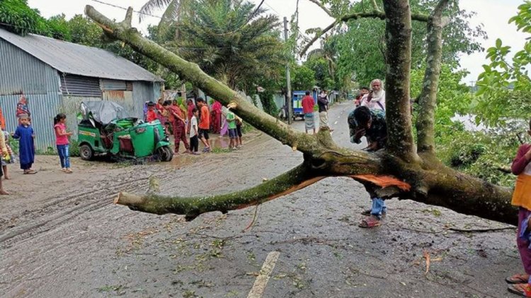 কালবৈশাখী ঝড়ে কুমিল্লাসহ সারাদেশে ৫ জনের মৃত্যু।